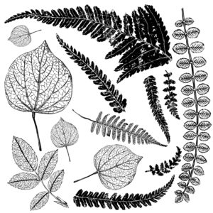 Frond IOD Decor Stamp