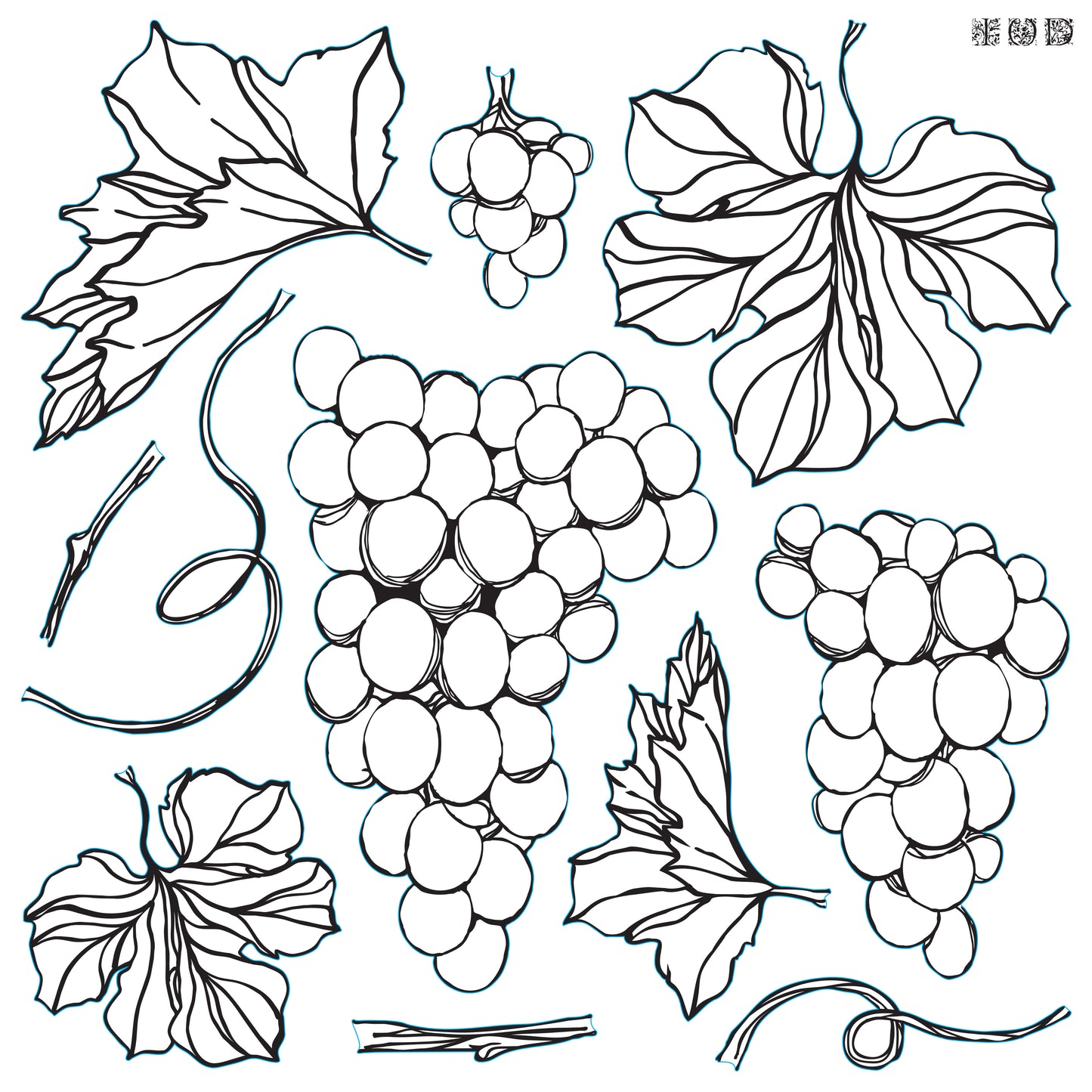 Grapes IOD Decor Stamp
